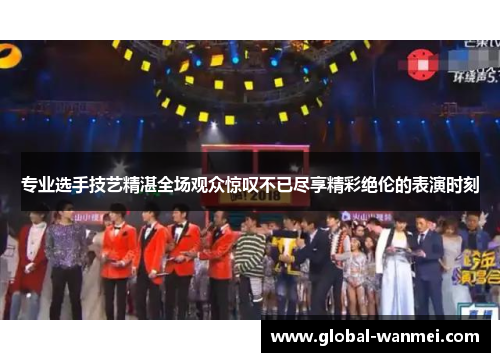 专业选手技艺精湛全场观众惊叹不已尽享精彩绝伦的表演时刻
