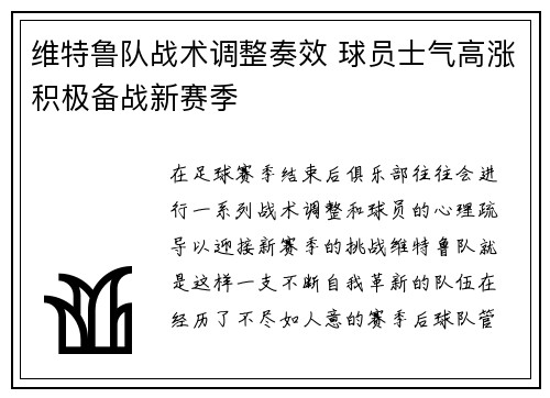 维特鲁队战术调整奏效 球员士气高涨积极备战新赛季