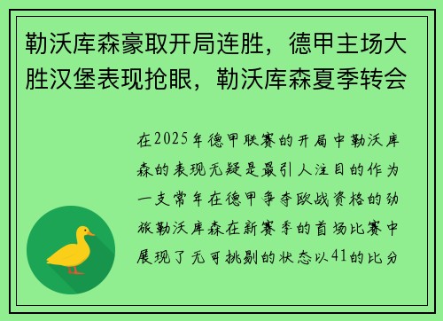 勒沃库森豪取开局连胜,德甲主场大胜汉堡表现抢眼,勒沃库森夏季转会