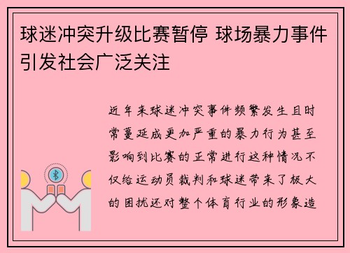 球迷冲突升级比赛暂停 球场暴力事件引发社会广泛关注